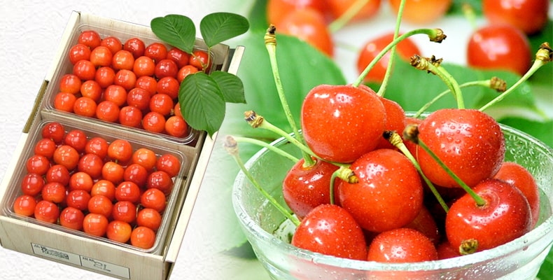 山形のさくらんぼ