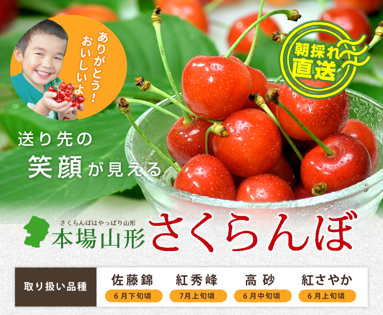 山形特産さくんぼ 佐藤錦 山形特産さくらんぼ 佐藤錦