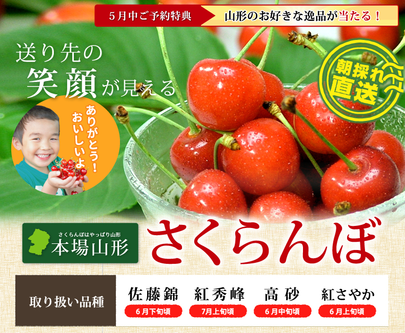 山形特産さくらんぼ5月 山形特産さくらんぼ 佐藤錦
