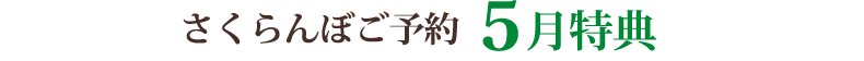 さくらんぼご予約5月特典