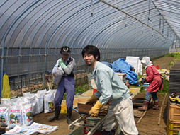 坪池農園の種蒔き風景⑥