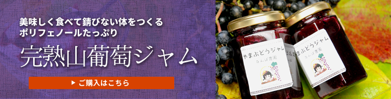 山葡萄ジャムのご購入はこちら