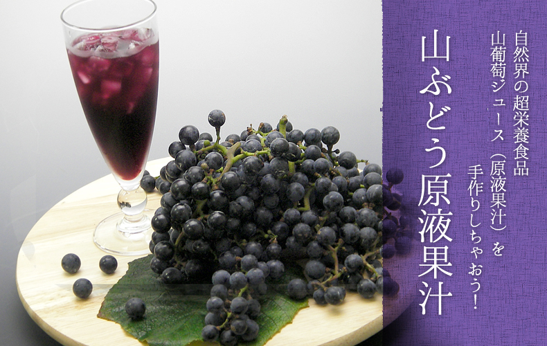 山葡萄ジュース 自然界の超栄養食品 山葡萄ジュース(原液果汁)を手作りしちゃおう!