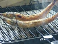 一夜干しキス焼き
