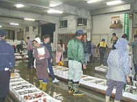 一夜干し鼠ヶ関港2 一夜干し鼠ヶ関港2