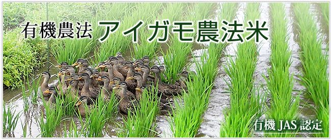 無農薬栽培アイガモ農法米