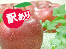 訳ありふじりんご