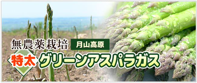 月山高原特太グリーンアスパラ
