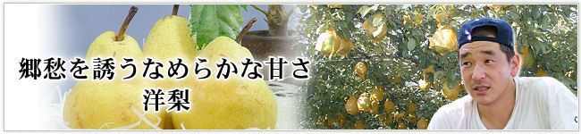 なめらかで懐かしい味の西洋梨