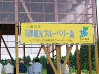 観光ブルーベリー園 観光ブルーベリー園