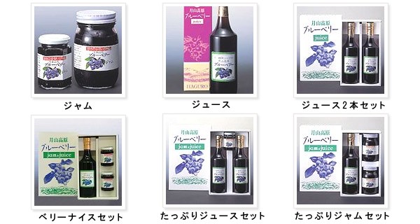 ブルーベリー生食用1kg