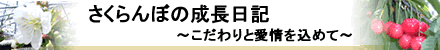 さくらんぼ成長記 さくらんぼ成長記