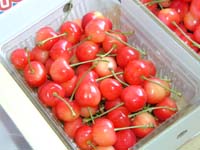 さくらんぼバラ詰め作業その7