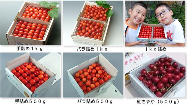 さくらんぼ商品写真