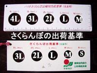さくらんぼ選別スケール