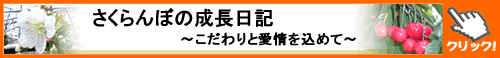 さくらんぼ成長記はこちらをクリック！