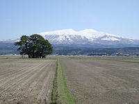春の鳥海山
