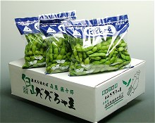 だだちゃ豆荷姿