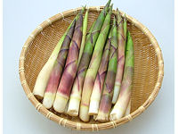 月山筍特選１ｋｇ