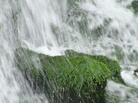 鳥海山氷河水イメージ3 鳥海山氷河水イメージ3