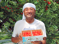 itocherry-1