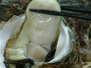 天然岩牡蠣をつまみ上げたところ