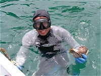 天然岩牡蠣は素潜り漁2