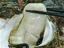 天然岩牡蠣