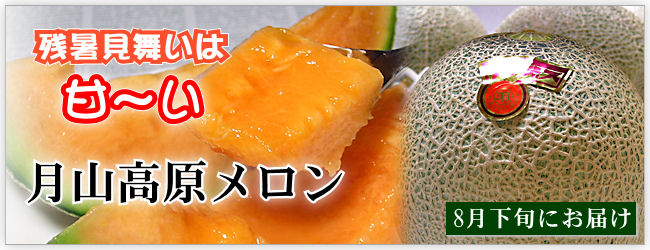 月山高原メロン