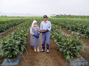 なす生産農家さん