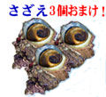 天然岩牡蠣小サイズおまけサザエ3個