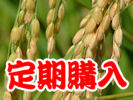 お米の定期購入