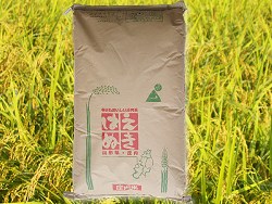 はえぬき・コシヒカリ30kg超得販売