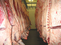 米沢牛枝肉1