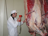 米沢牛枝肉2