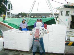 年を通じて新鮮な魚が水揚げされる