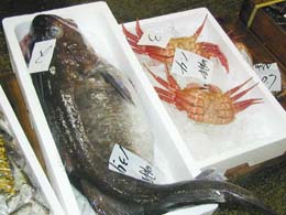 箱に入った魚③