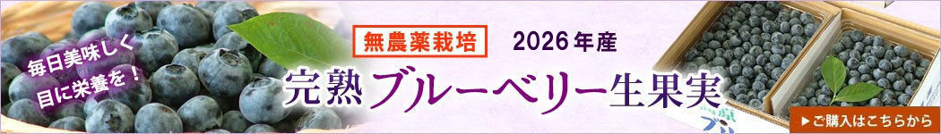 ブルーベリー