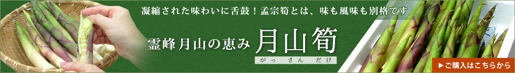 天然月山筍