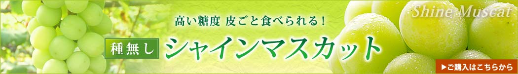 シャインマスカット購入はこちらから