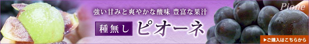 ピオーネ購入はこちらから