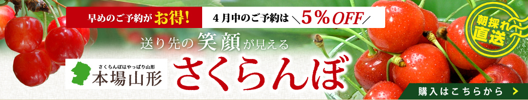 さくらんぼ早割5%OFF