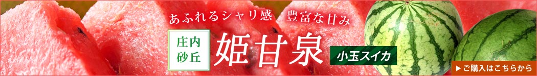 庄内砂丘小玉スイカ 姫甘泉