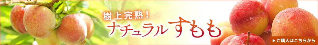 すもも購入はこちらから