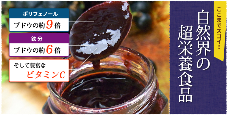 自然界の超栄養食品